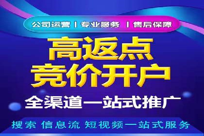 百度竞价排名案例揭秘：广告创意的重要性